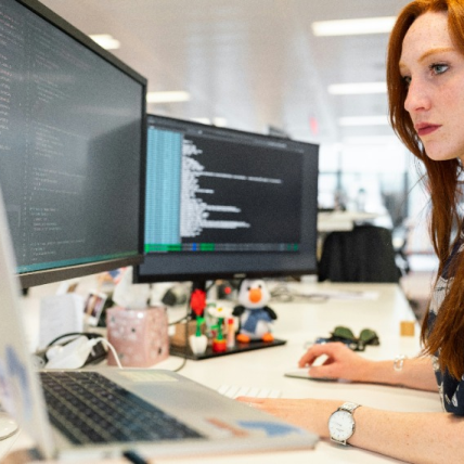 Ingeniería en desarrollo y gestión de software